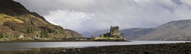 donan