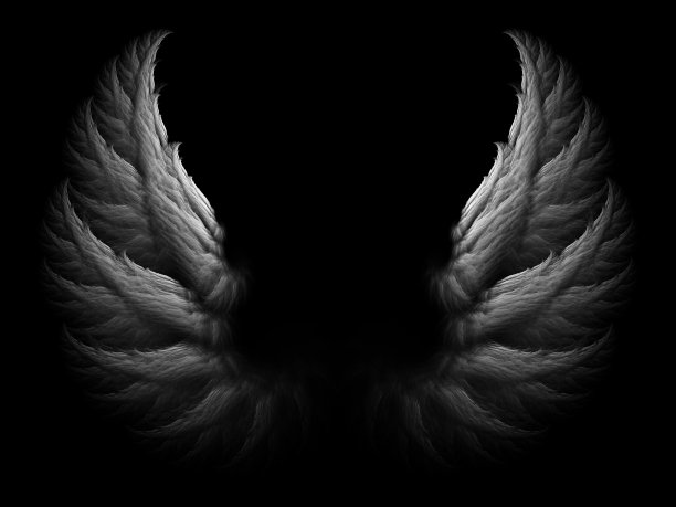 wings