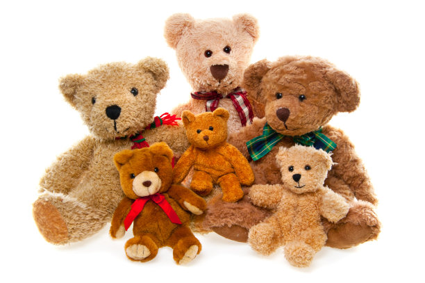 teddy