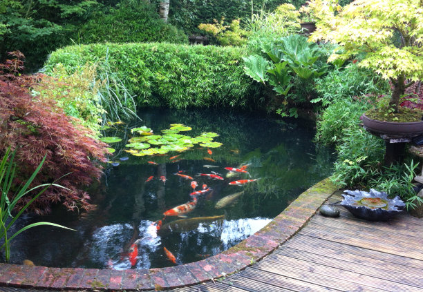 ponds