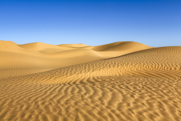 desert