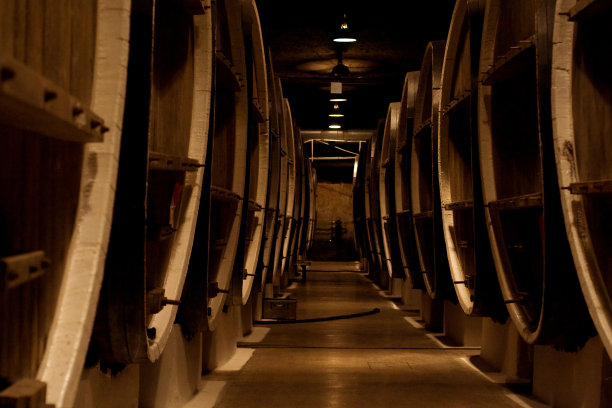 vineyard