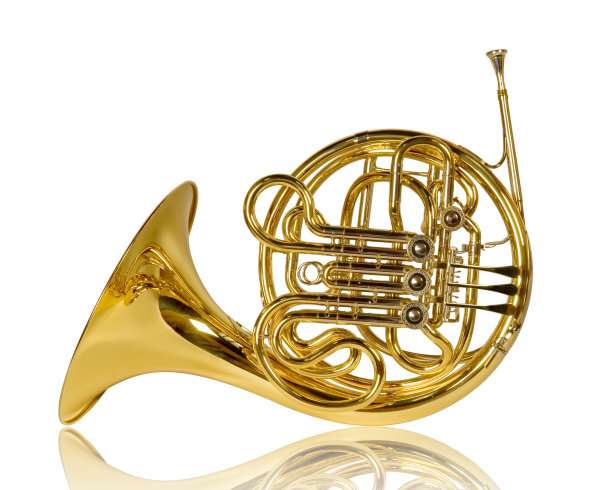 horns