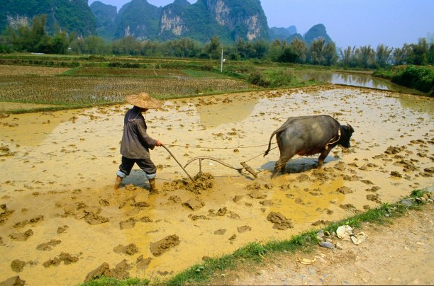 阳朔站