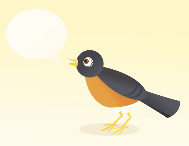 robin-chat