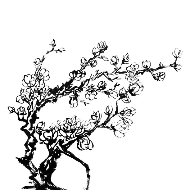 梅花素材