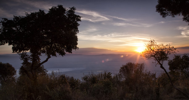 ngorongoro