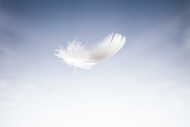 feathers