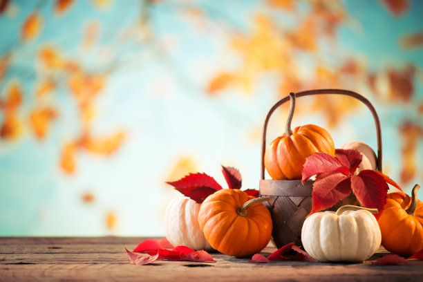 thanksgiving