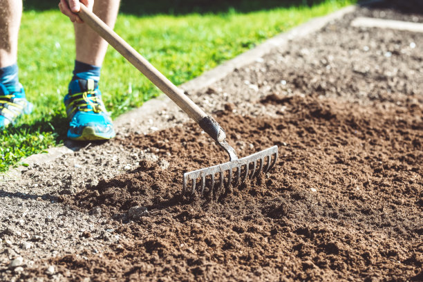 rake