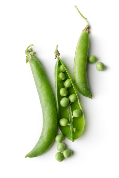 lathyrus