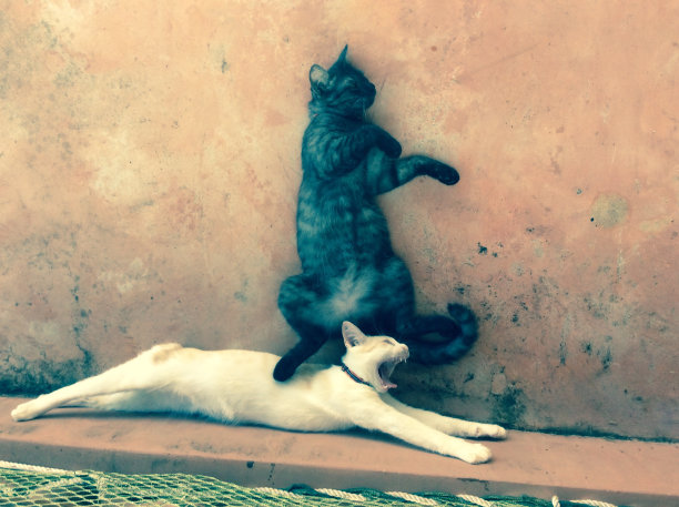 凌辱图片素材 凌辱设计素材 凌辱摄影作品 凌辱源文件下载 凌辱图片素材下载 凌辱背景素材 凌辱模板下载 搜索中心