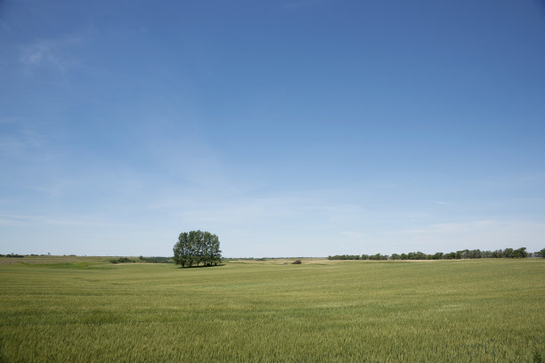 nd