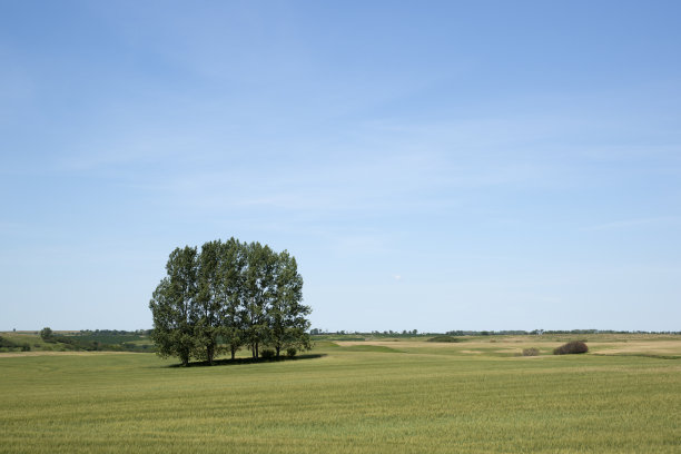 nd