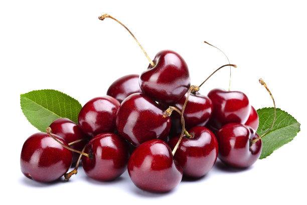 prunus