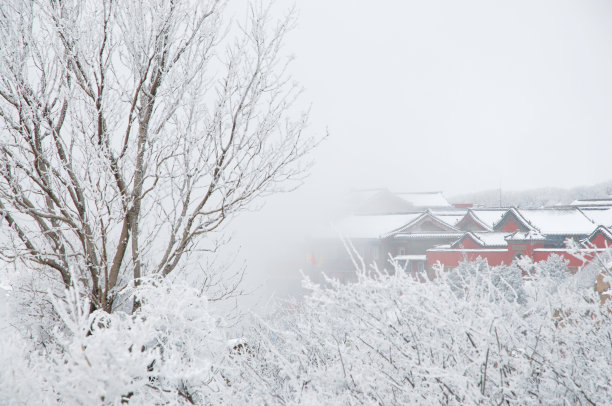 泰山下雪