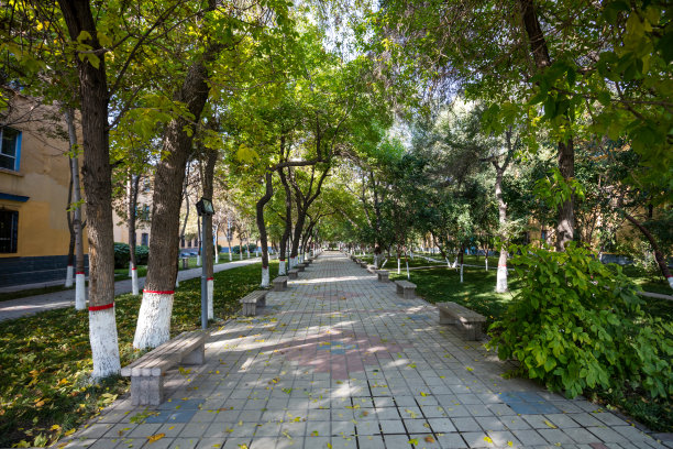 新疆学院