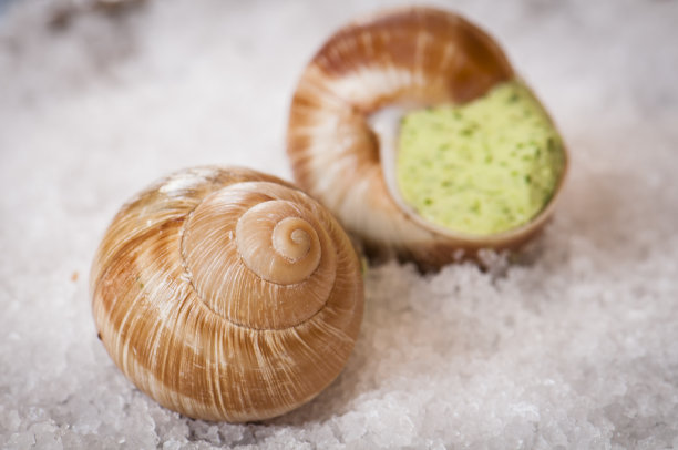 食用蜗牛