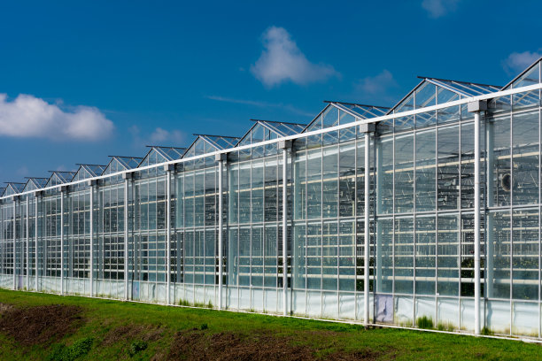 greenhouse