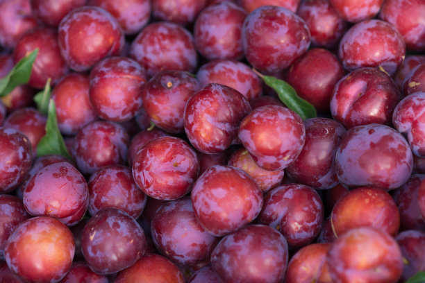 plum