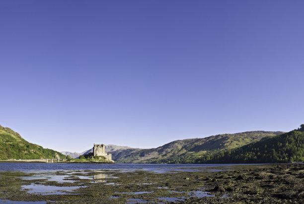 donan