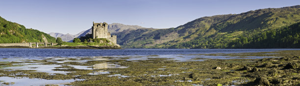 donan