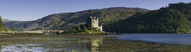 donan