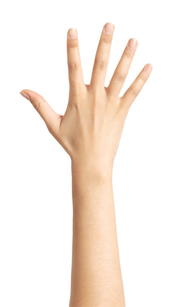 arms