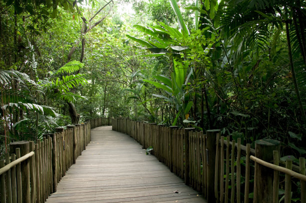 boardwalk