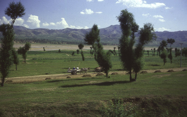 黄河流域标志性建筑