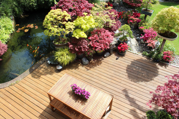 bonsai