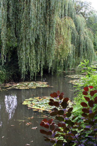 monet