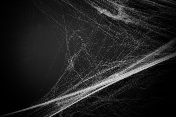 web