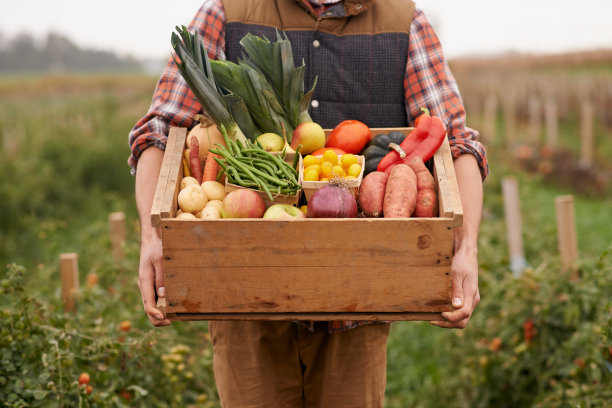 harvest