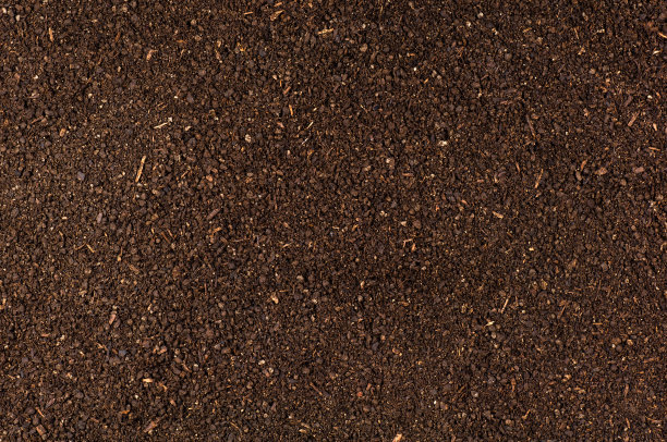 ground