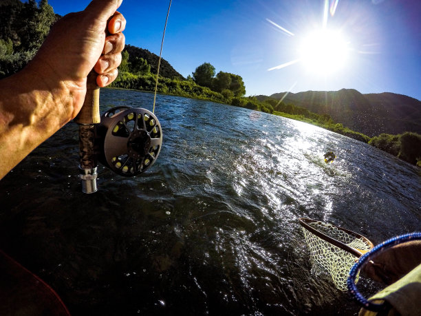 gopro