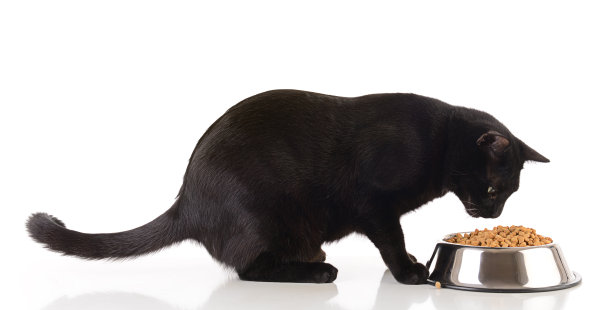 eat