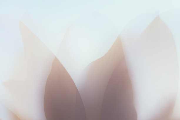 淡色底纹