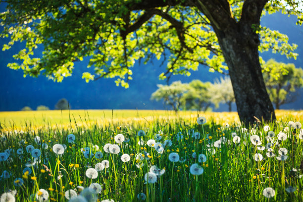springtime