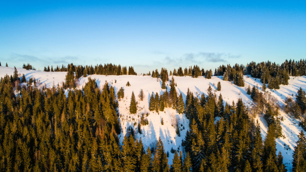 无人机航拍雪山森林
