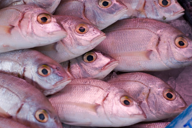 aji
