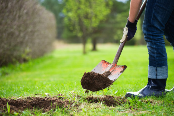 horticulture