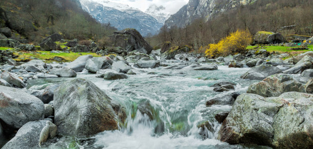 rapids