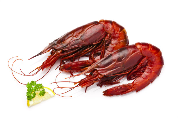 红虾