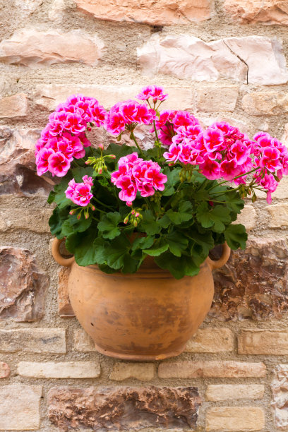 terracotta