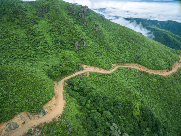 弯曲的大山公路