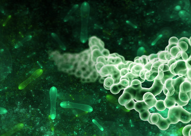 bacteria