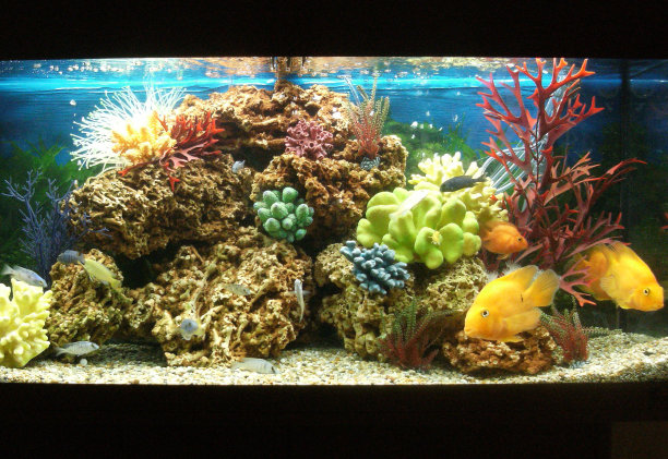 aquarium