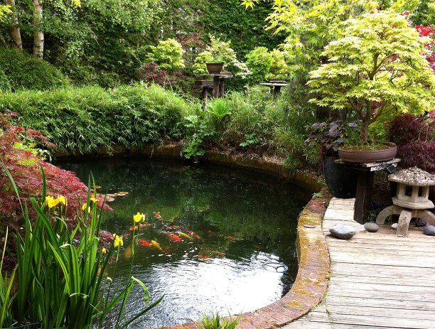ponds