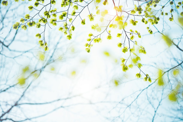 springtime